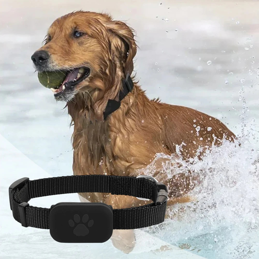 Pet GPS Tracker with Adjustable Collar Smart Pet Locator Cat Tracker for Cats and Dogs